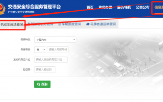 车辆违章查询官网入口，违章查询车辆违章查询官网入口